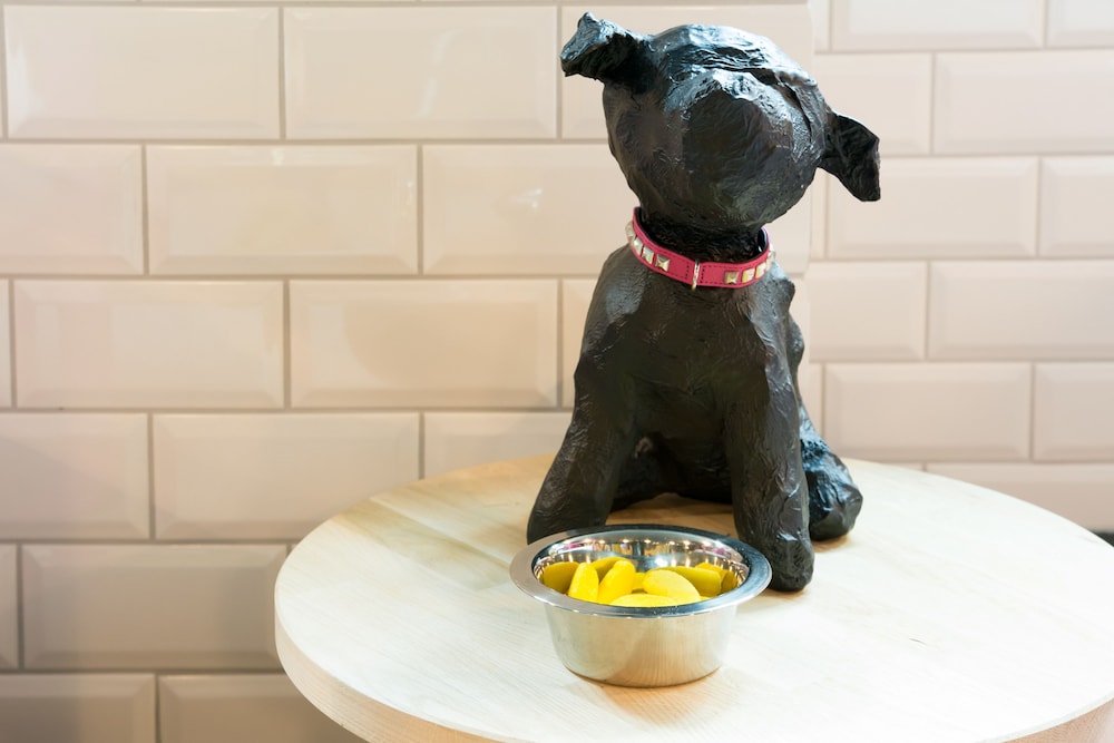 qbic hotel amsterdam wtc