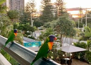 Hi Ho Beach Apartments,Gold Coast>>Broadbeach,4 star