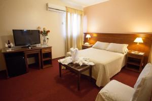 Ritz Hotel Mendoza,Tunuyan>>Mendoza,3 star