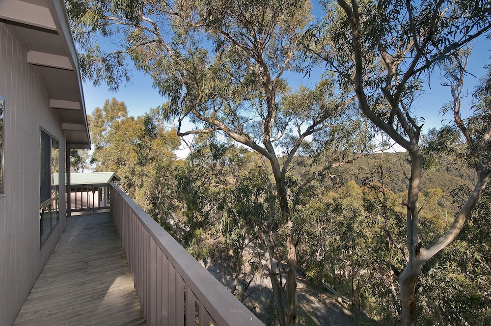 skenes creek