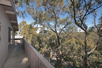 skenes creek