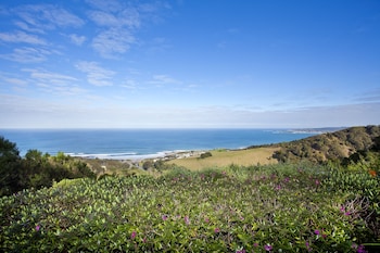 skenes creek