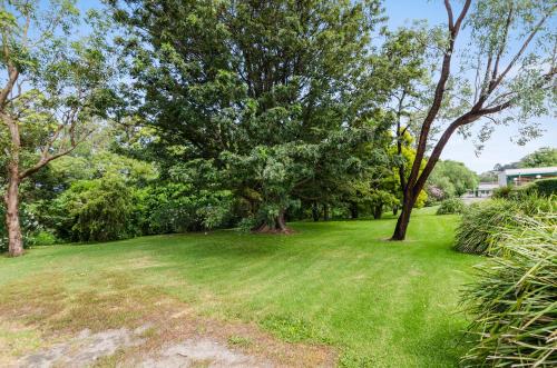 solomon inn wollongong