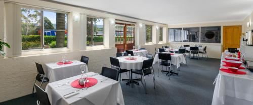 solomon inn wollongong