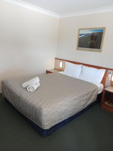 solomon inn wollongong