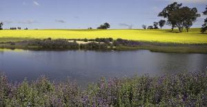 cootamundra gardens motel
