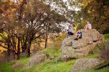 Evedon Park Bush Retreat,Burekup>>Bunbury,3.5 star