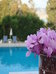 castelli hotel adults only all inclusive