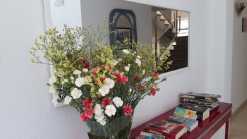 torroella de montgri