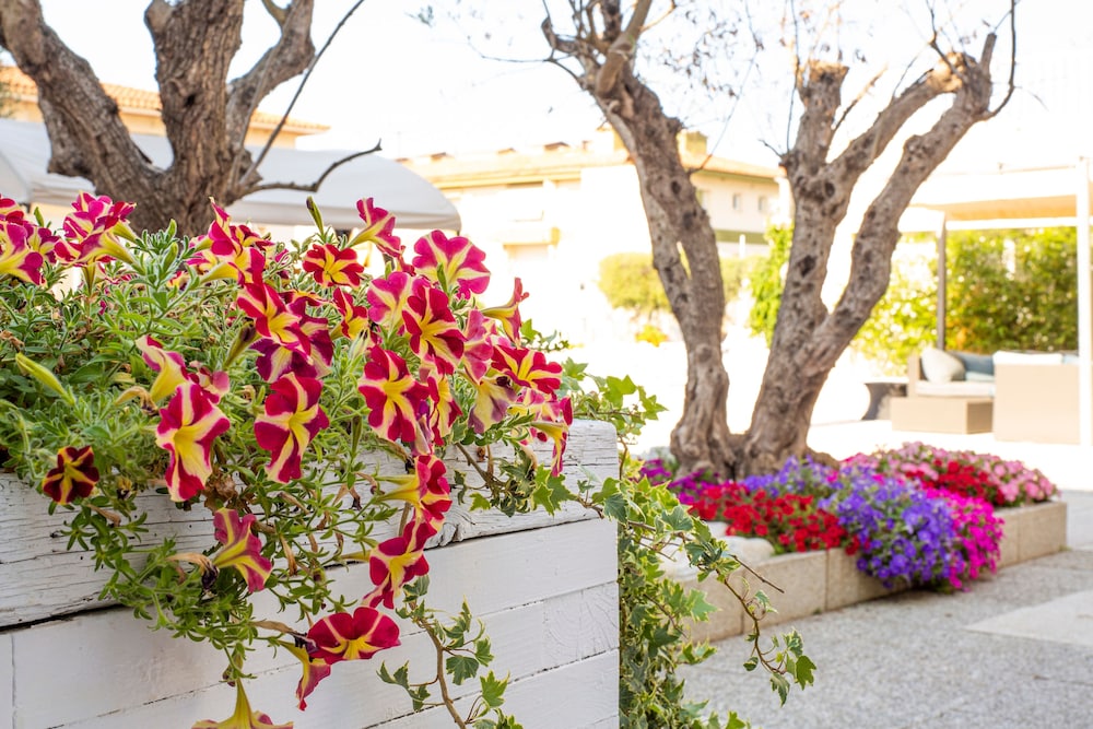 torroella de montgri