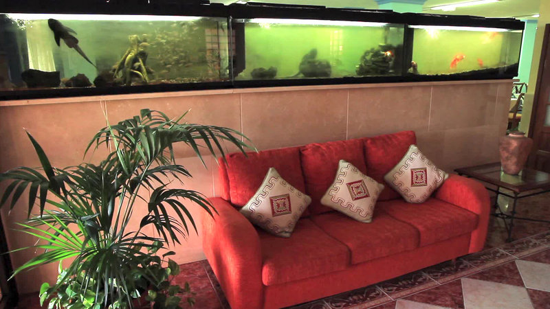 globales acuario