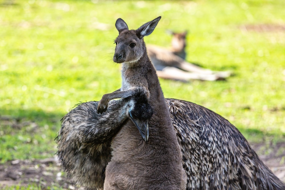 port noarlunga south