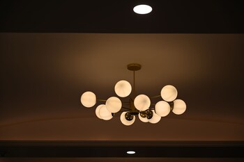 hotel shyam paradise