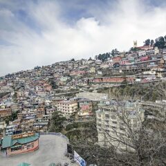 shimla