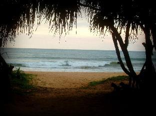 Palm Beach Inn And Sea Shells Cabanas,Beruwala>>Bentota,3 star