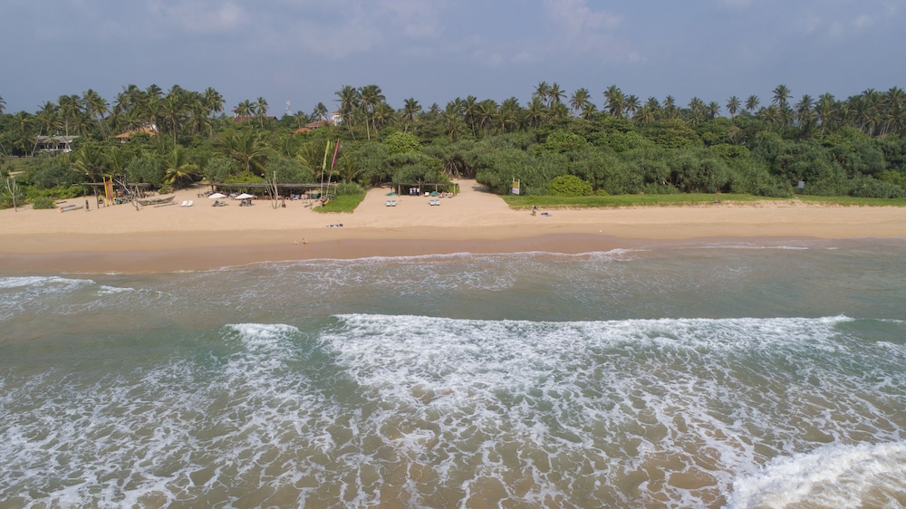 palm beach inn and sea shells cabanas