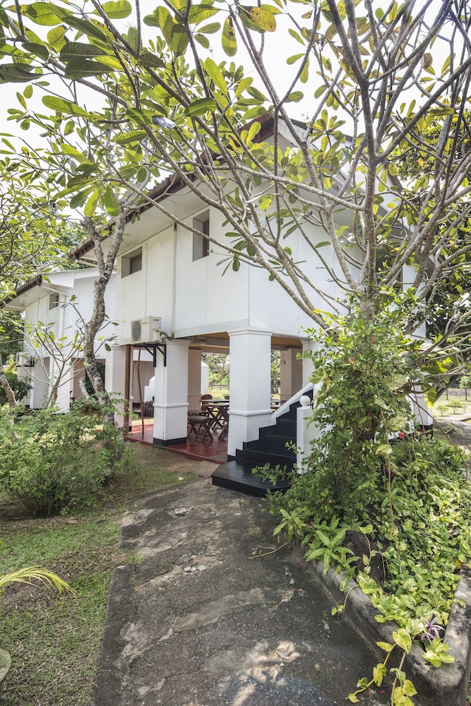 palm beach inn and sea shells cabanas
