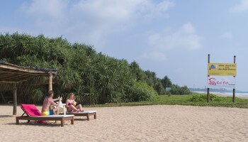 palm beach inn and sea shells cabanas