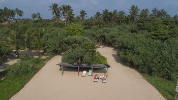 palm beach inn and sea shells cabanas