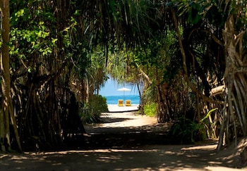 palm beach inn and sea shells cabanas