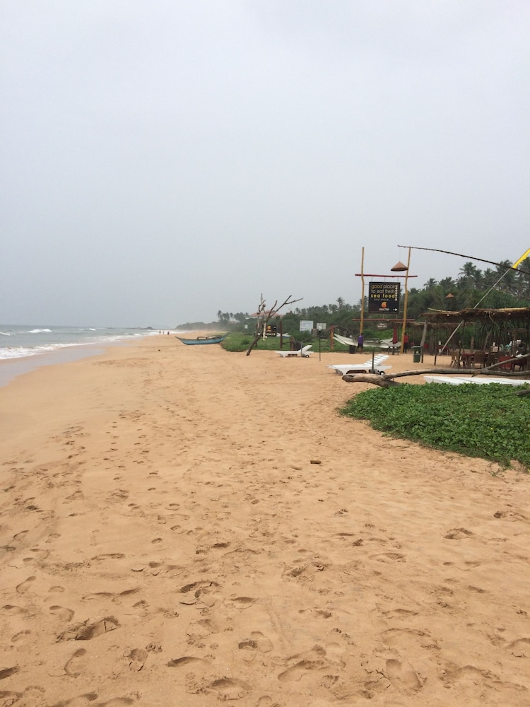 palm beach inn and sea shells cabanas
