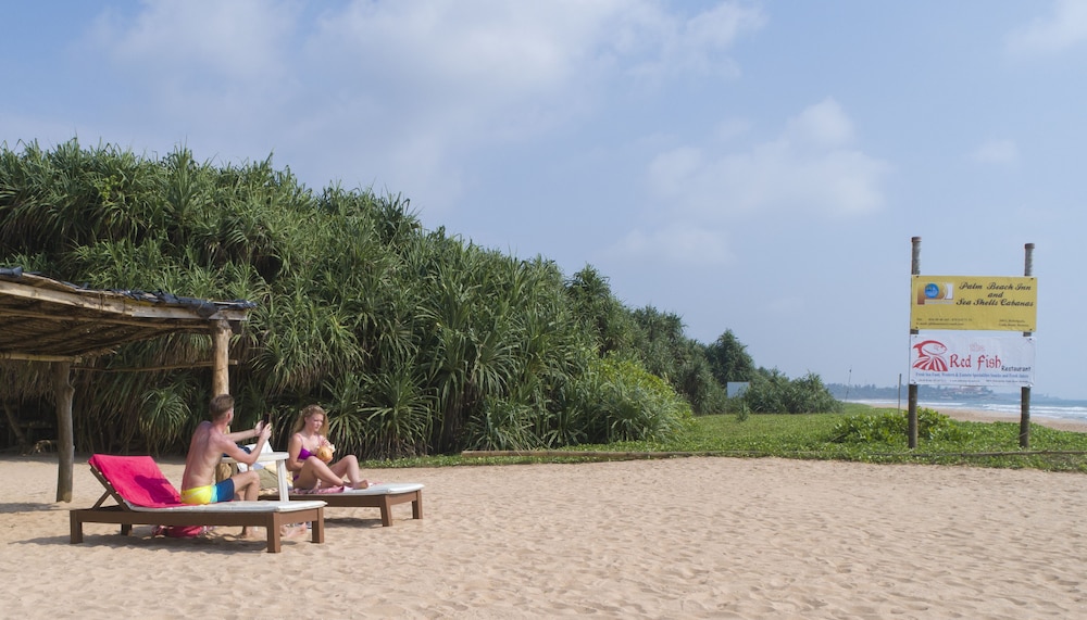 palm beach inn and sea shells cabanas