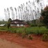 desia eco tourism camp