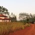 desia eco tourism camp