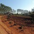 desia eco tourism camp