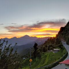 tehri