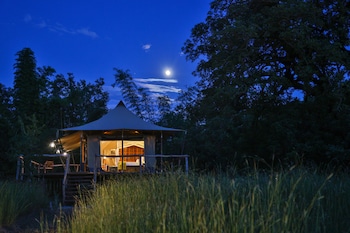 The Untamed, Bandhavgarh By Tutc,India>>Umaria,4 star