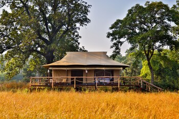The Untamed, Bandhavgarh By Tutc,India>>Umaria,4 star