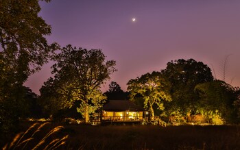 The Untamed, Bandhavgarh By Tutc,India>>Umaria,4 star