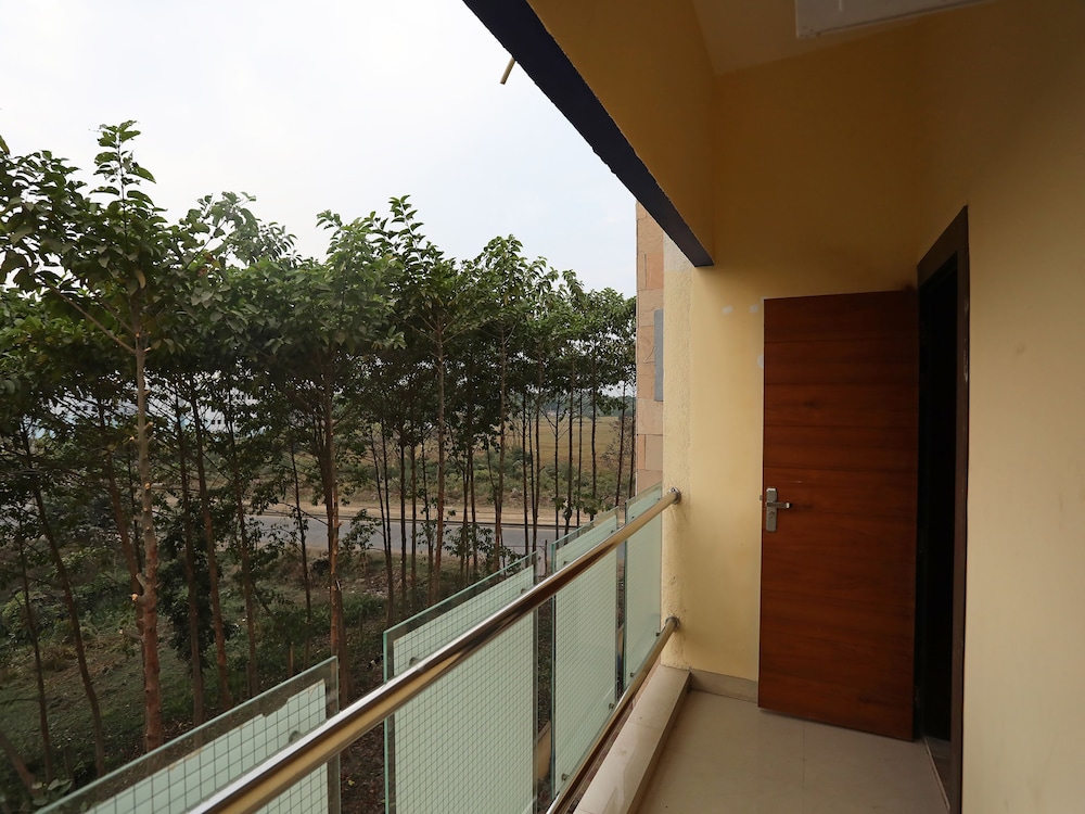 dolphin chocolate inn