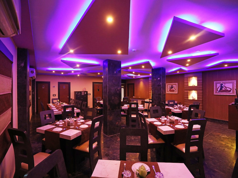 dolphin chocolate inn