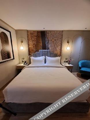 parallel hotel udaipur a member of radisson individuals