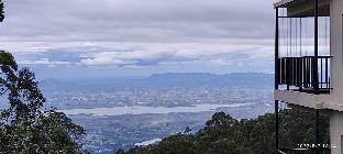 dolphin nose retreat