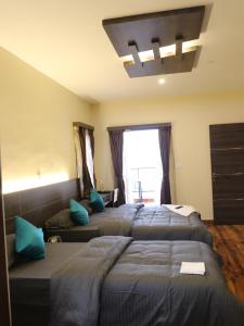 dolphin nose retreat