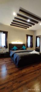 dolphin nose retreat