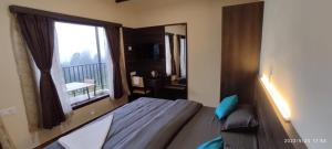 dolphin nose retreat