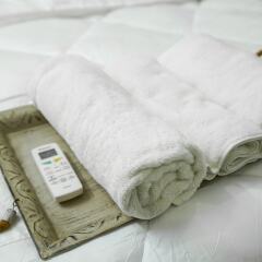 lime tree 2bhk serviced apartment