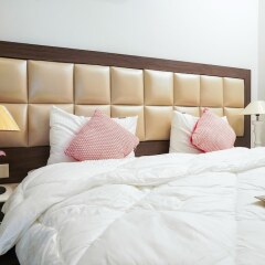 lime tree 2bhk serviced apartment