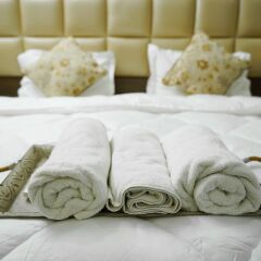 lime tree 2bhk serviced apartment