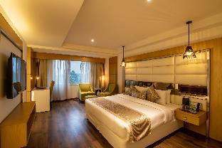 the pristine hotel kanpur