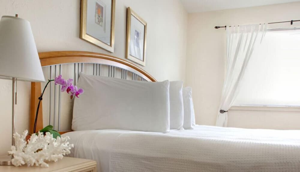 suites of dorchester