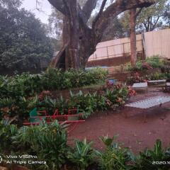 veg park view hotel matheran