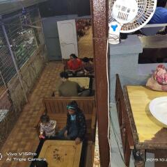 veg park view hotel matheran