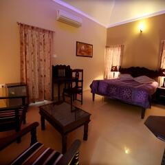 hotel castle bijaipur