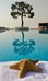 kinetta beach resort and spa all inclusive