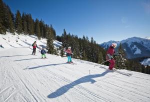 der gollinger
